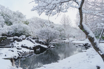 日本の風景・雪の降る公園｜千葉県千葉市・泉谷公園(下の池)