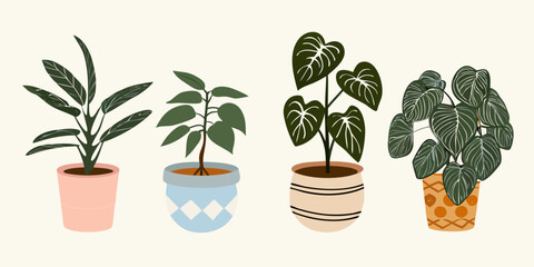 Four potted houseplants in a minimalist illustrative style are displayed © BelaRani