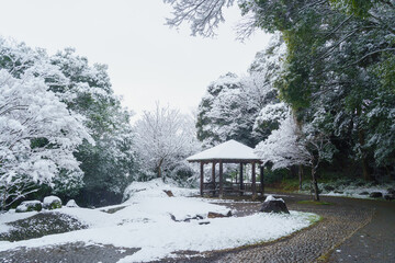 日本の冬景色｜千葉県千葉市・有吉公園(おゆみの道)