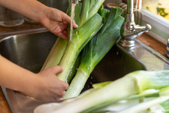 Fresh leeks washed kitchen sink