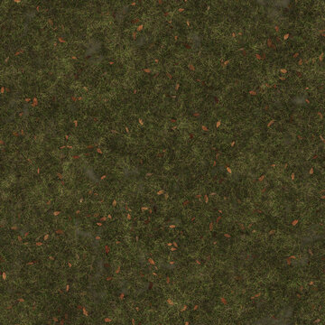 grass_with_dry_leaves_and_water 4k pbr wallpaper background, backdrop Texture for Architectural 3D rendering