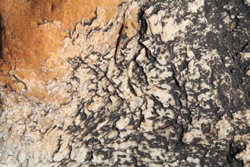 Obraz premium Intricate Textured Rock Surface with Black Veins and Amber Hues