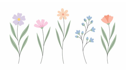 Fototapeta premium Delicate Hand-Drawn Floral Illustrations Featuring Various Wildflowers in Pastel Hues