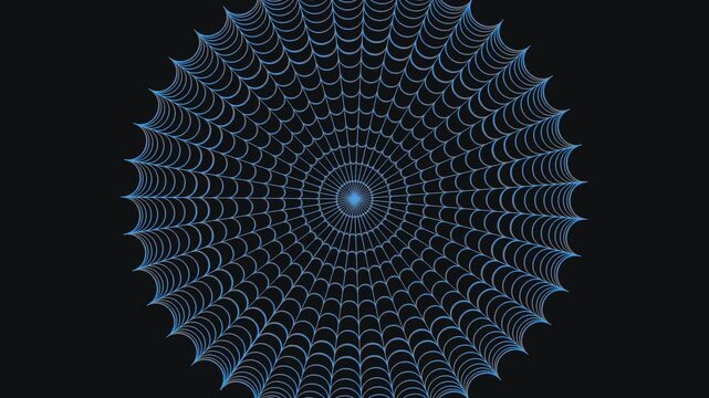 A mesmerizing symmetrical animation of a blue wireframe web expanding from a central point. The structure resembles a digital spiderweb or a complex radar display against a black void.