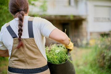 Female gardener with ponytail carries a heavy basket filled with grass clippings produced after mowing a garden during outdoor maintenance work. © Itxu