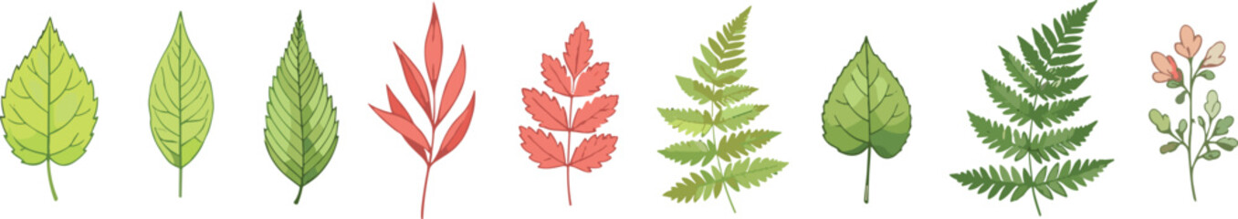 Botanical leaves collection vector illustration with green and red foliage, fern and plant elements in flat nature style © MdMojnu