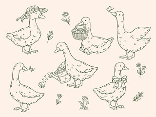 Cottagecore goose vector set in hand-drawn whimsical doodle style. Outline geese in various poses with rustic farm and floral elements. Clipart for prints, fabric, packaging, and design © Irina Khovanskaya