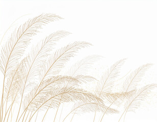 Fototapeta premium Pampas Grass Feather Plume