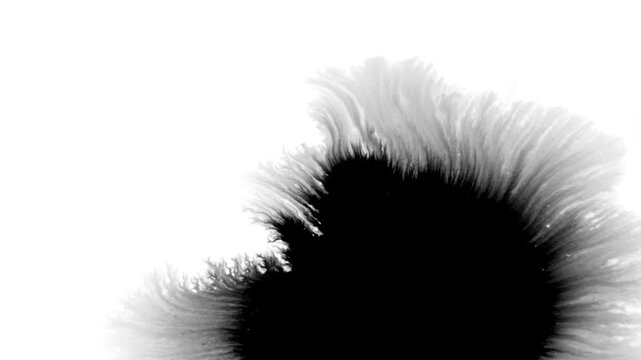 Deep black ink spreads on white, creating bold, textured visuals. Perfect for cinematic titles, transitions, or luma mattes in motion graphics and film projects with a dramatic, moody effect.