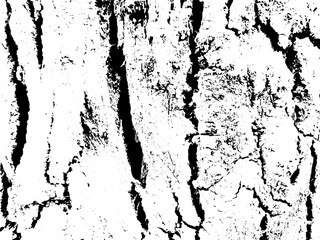 Fototapeta premium Grunge background black and white. Texture of chips, cracks, scratches, scuffs, dust, dirt .Vector pattern of cracks, chips, scuffs. Abstract vintage surface isolated on white background.EPS10.