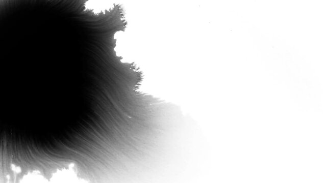 Deep black ink spreads on white, creating bold, textured visuals. Perfect for cinematic titles, transitions, or luma mattes in motion graphics and film projects with a dramatic, moody effect.