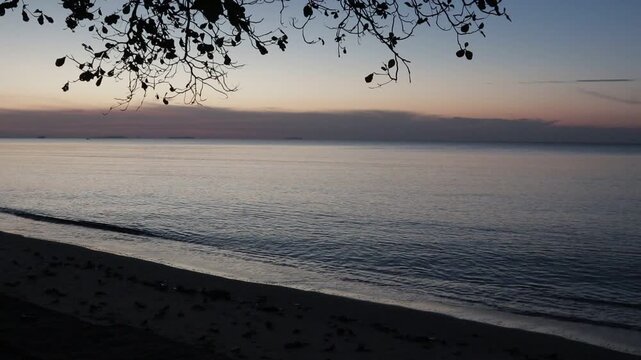 Peaceful twilight over a calm ocean in Rayong, Thailand, with silhouetted tree branches framing the soft sunset horizon.