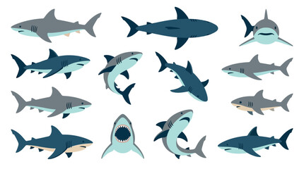 Collection of various shark illustrations in different poses and angles, showcasing their powerful forms and aquatic nature.