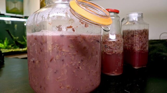 Bubbles rising in glass jars during the fermentation process of homemade beet kvass. A person stirs the probiotic beverage with a spoon