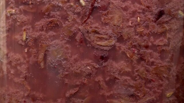 Extreme close up of grape pulp, skins, and seeds fermenting. The mixture produces carbon dioxide bubbles during the alcoholic fermentation process