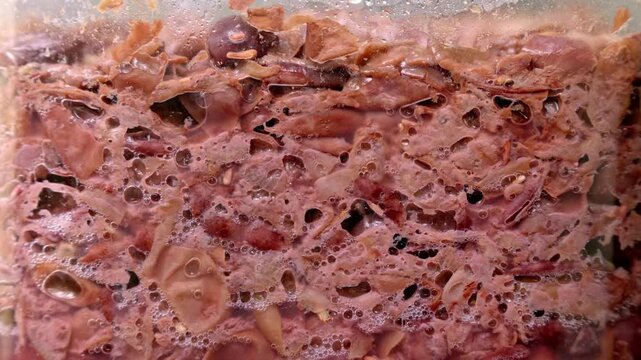 Authentic process of red wine. Close up on the texture of the fermentation