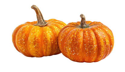Fototapeta premium Two small, bright orange pumpkins with textured skin, isolated on a black background