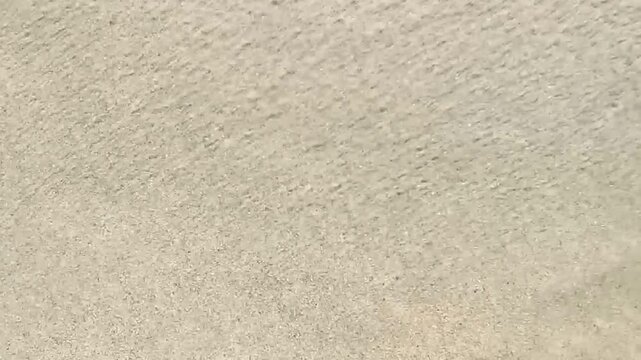 Beach sand with pebbles colorful shells mussels water texture pattern.
