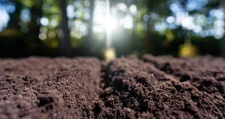 Ground soil background. Earth and compost. Ground fertility. Fertile soil close-up. Soil quality on...