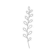 Obraz premium Minimal Botanical Stem Line Art – Elegant Monoline Leaf Vector