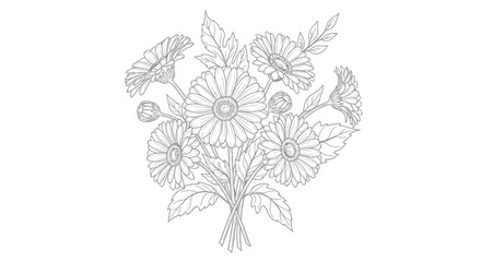Hand-drawn daisy flower bouquet outline, isolated on white background