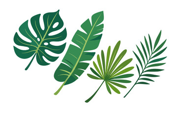Tropical Leaf Icon Set &ndash; Monstera Palm Banana Flat Vector Pack
