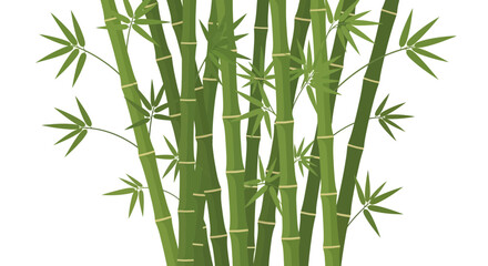 Obraz premium Bamboo Stems with Leaves 7.