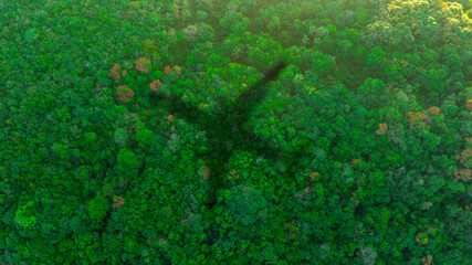 Fototapeta premium Top view of a large airplane shadow gliding over a lush green tropical rainforest canopy, symbolizing air travel, adventure, and flight transit over nature. concept nature travel 