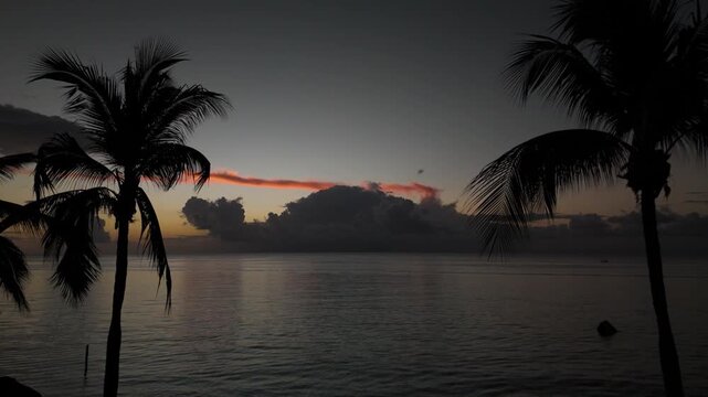 Palm trees Cozumel Quintana Roo Drone forwrds cloudy sunset