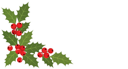 Festive holly berry arrangement vibrant green leaves and red berries on white © Luqman
