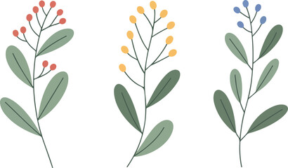 Hand drawn botanical branches with green leaves and colorful pink yellow blue berries minimalist illustration set © MST