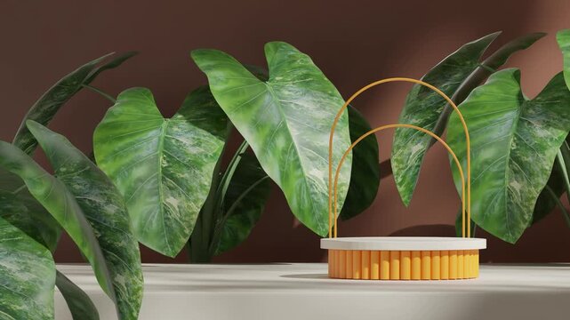 3d video rendering blank mockup of white yellow podium seamless shadow animation looping with arch and green caladium leaf houseplant