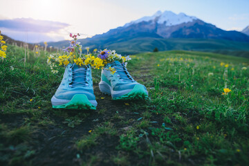 Ready for run in the beautiful nature