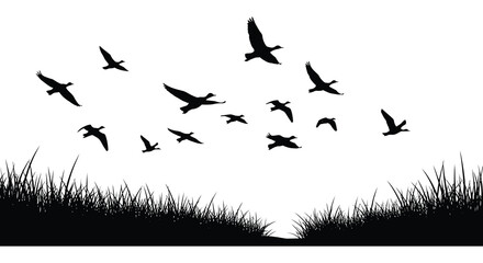 A flock of birds takes flight over a grassy field and calm water a striking silhouette high quality © nhpvect02