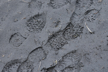 Shoe prints in grey sand