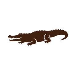 Obraz premium Brown crocodile standing on white background with open mouth and sharp teeth
