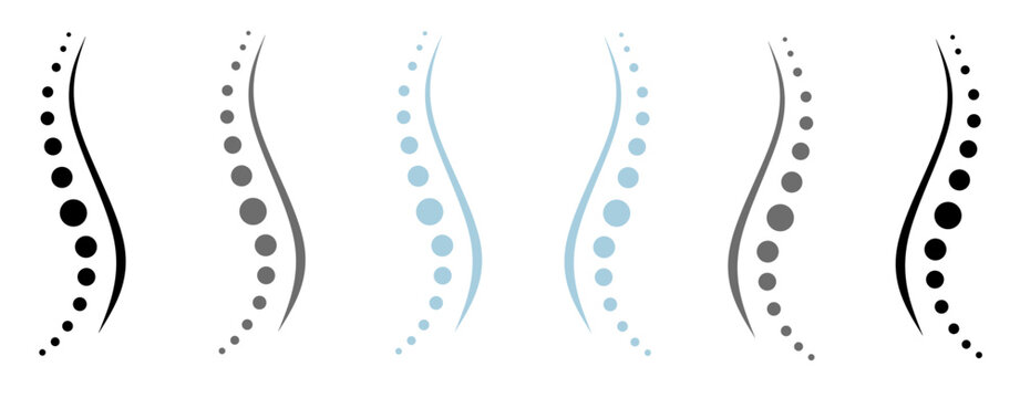 Spinal column silhouettes in various colors and styles, perfect for chiropractic, orthopedic, healthcare, and wellness branding identity