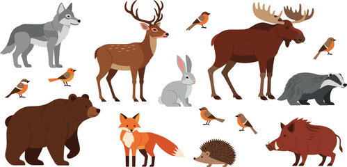 Fototapeta premium Forest Animals Vector Set with Bear, Wolf, Deer, Moose, Fox, Boar, Badger and Woodland Wildlife Illustration Collection