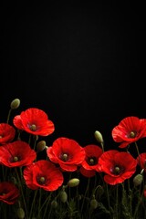 Obraz premium Field of red poppies against a vertical dark background, symbolizing remembrance and Anzac Day