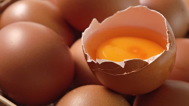 The yolk of a chicken egg	