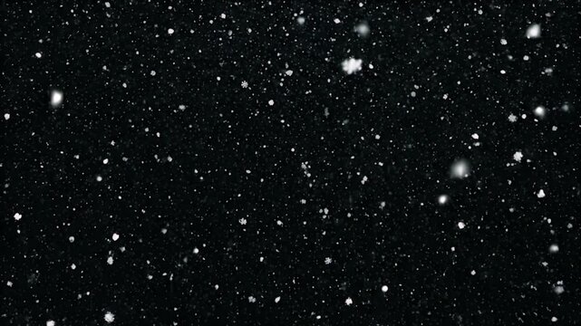 Detailed Snowflakes Falling Gently Against a Deep Black Background Creates a Magical Winter Atmosphere with Subtle Lighting Perfect for Christmas and Holiday Projects
