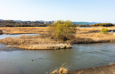 神奈川県相模原市からの相模川風景