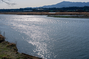 神奈川県相模原市からの相模川風景