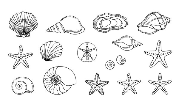 Seashell and Starfish Doodle Set &ndash; Hand Drawn Marine Shell Vector Collection