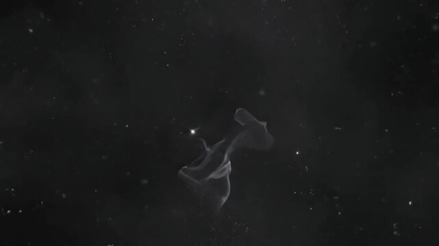 Dynamic Magic Blast Overlay with smoke shockwave blowing transition reveal isolated on alpha background distortion, green screen overlay, glitch, static noise, scan lines black background, 4k animated