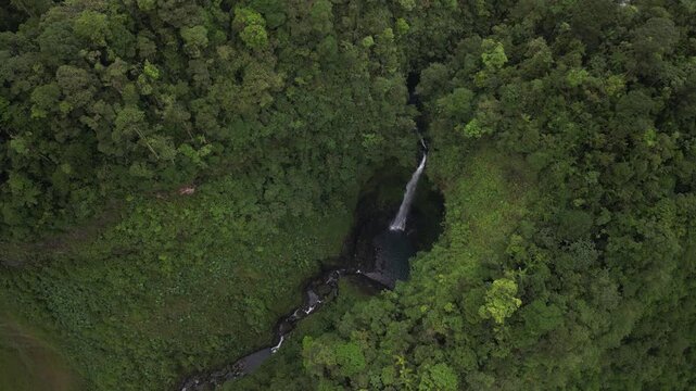 Drone view of Quebrada Gata waterfall in Bajos del Toro Costa Rica in lush jungle rainforest