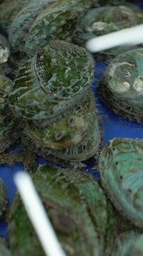 Vertical screen Recently Harvested Abalones With Textured Shells And Algae Present. Arrangement Of Freshly Harvested Abalones With Rough Shells And Algae Indicates Recent Collection For Culinary