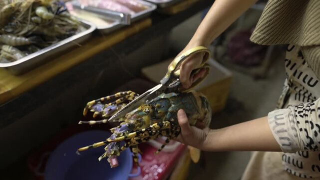 Fresh Lobster Vietnamese Street Market Vendor. Asian Vendor Carefully Trims Long Antennae With Scissors, Holding Spiny Lobster Over Blue Basin Beside Trays Of Prawns And Shrimp. Closeup