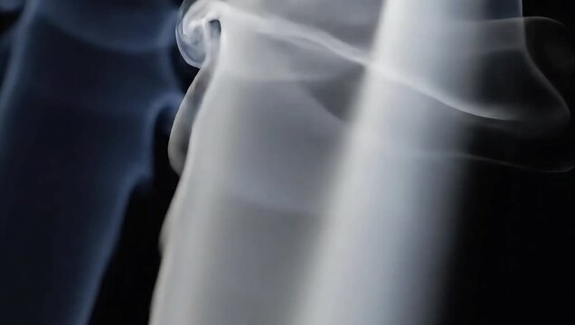 A medical video showcasing a detailed x-ray of a human spine and pelvis