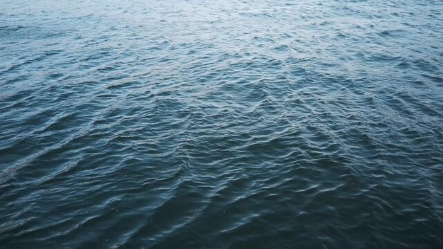 港内に吹く強風に波立つ海面